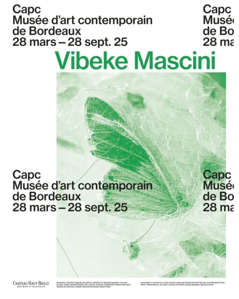 Exposition Vibeke Mascini, Le Monde est un verbe